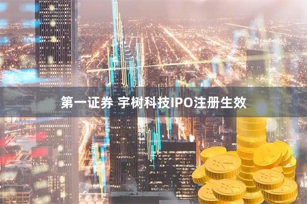 第一证券 宇树科技IPO注册生效